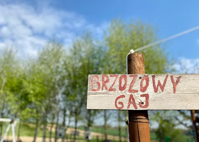 Brzozowy Gaj