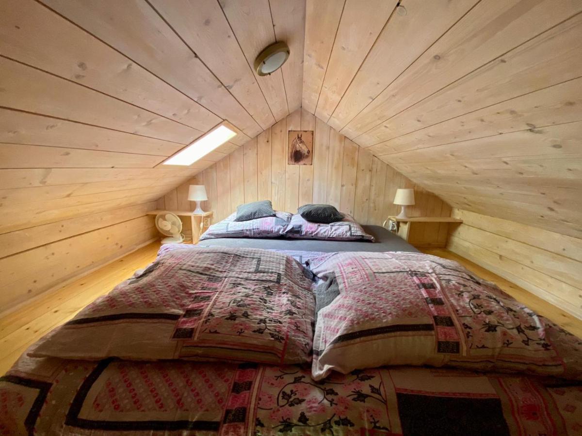 Brzozowy Gaj Holiday home