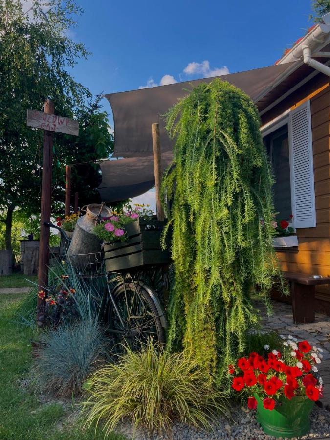 Holiday home Brzozowy Gaj *