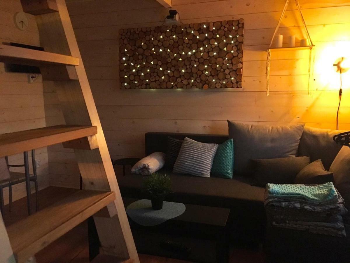 Brzozowy Gaj Holiday home *