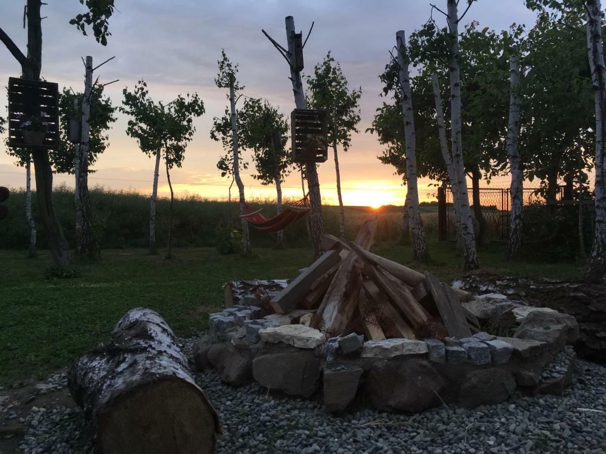 Brzozowy Gaj Holiday home Bachowice